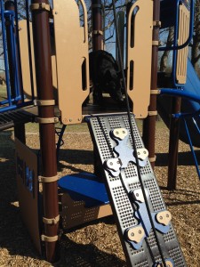Cosmo on playground